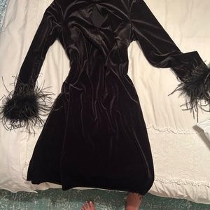 Velvet and Feather Dress